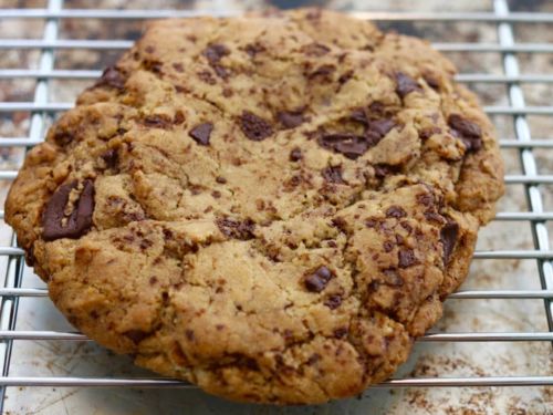 Chocolate Chip No Bake Cookies Recipe - Gemma's Bigger Bolder Baking