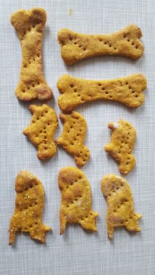 The Holstein Pet Treat Maker: Makes Homemade Dog Biscuits in 7 Minutes!