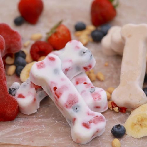 Frozen Greek Yogurt & Peanut Butter Dog Treats, Recipes