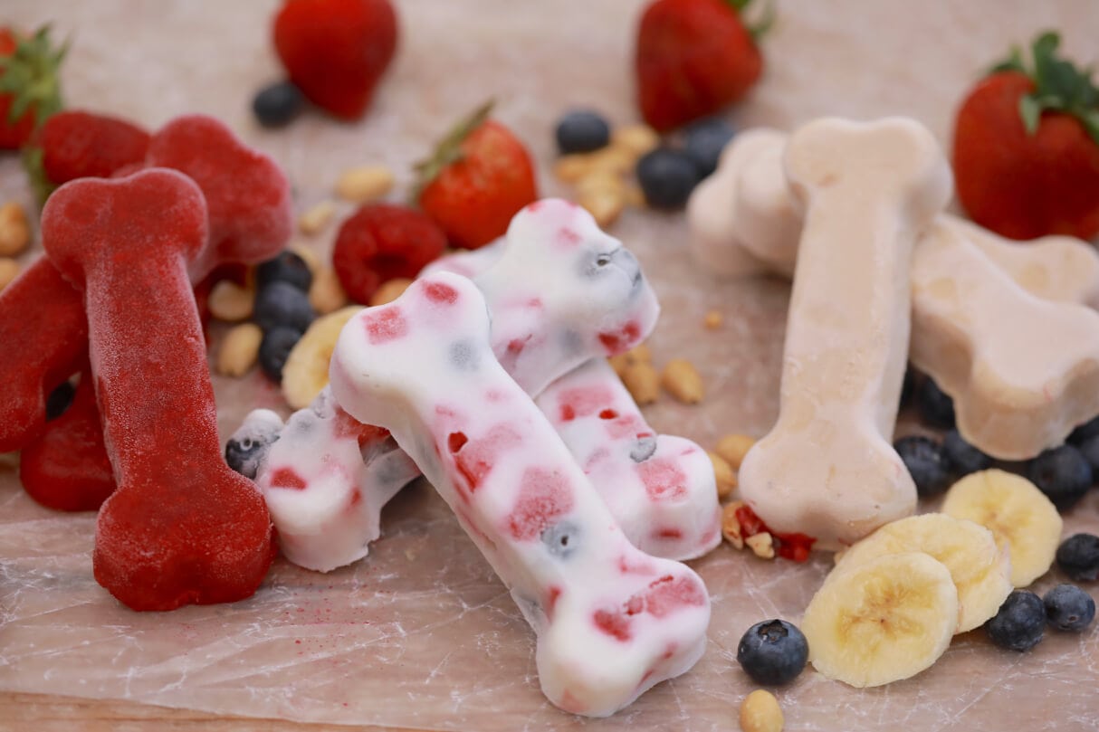 banana peanut butter yogurt dog treats