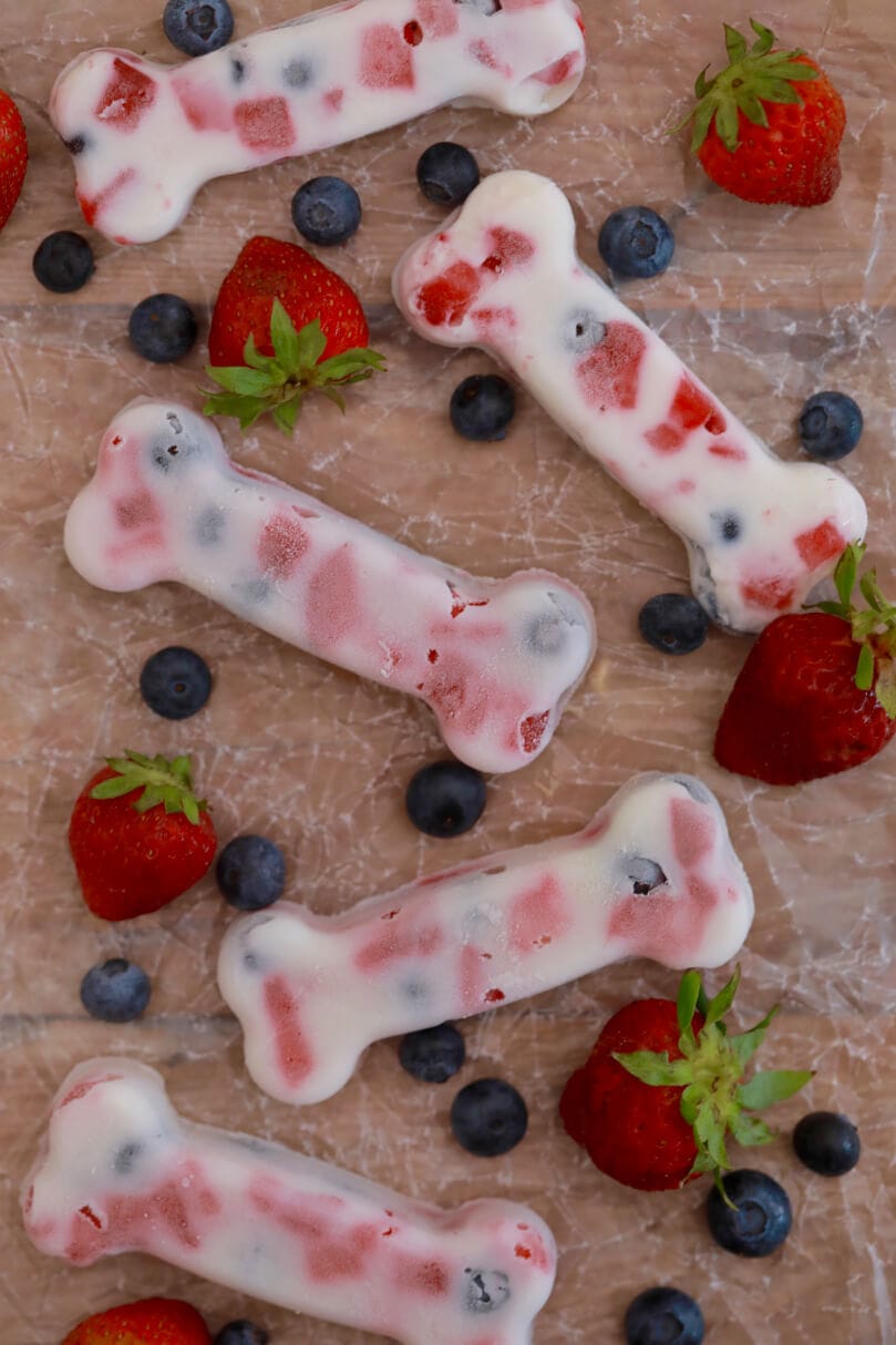 Gourmet Pet Treats, Nutritious and Easy DIY Popsicle Dog Recipe