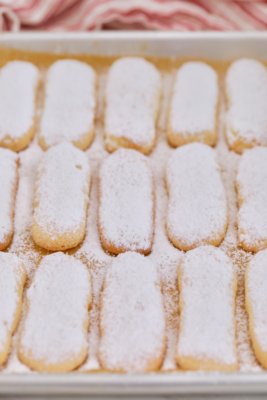 Homemade Ladyfingers Recipe (+ Video) Gemma's Bigger Bolder Baking