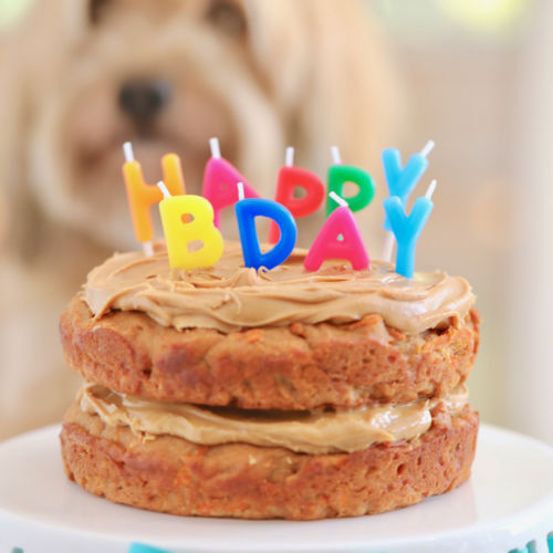 funny birthday dog cake
