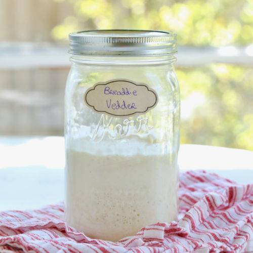 Sourdough Starter Guide: Everything You Need to Know