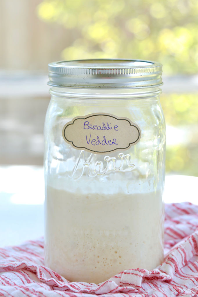 How To Make Your Own Sourdough Starter - OVENTales