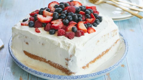 NORWEGIAN SPONGE CAKE - Passion For Baking :::GET INSPIRED