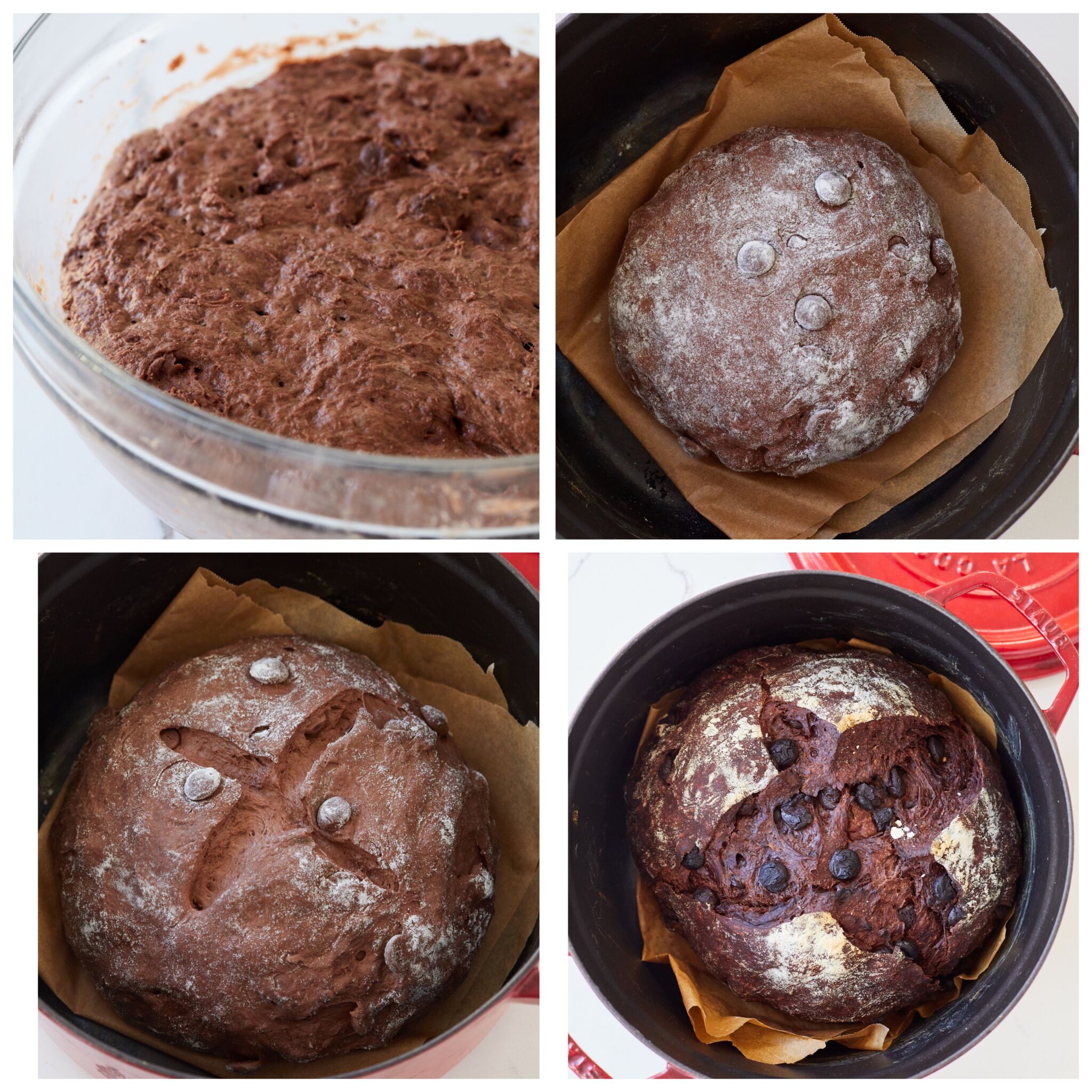 Step-by-step instructions on how to make No-Knead Chocolate Bread: Bulk ferment the dough in a glass bowl until it's bubbly. Shape and final proof the dough in the dutch oven until it's doubled in size. Score the top before baking. Bake until it's firm to touch, has a rich chocolate aroma, slightly pulled away from the edge and sounded hollow when tapped at the bottom.