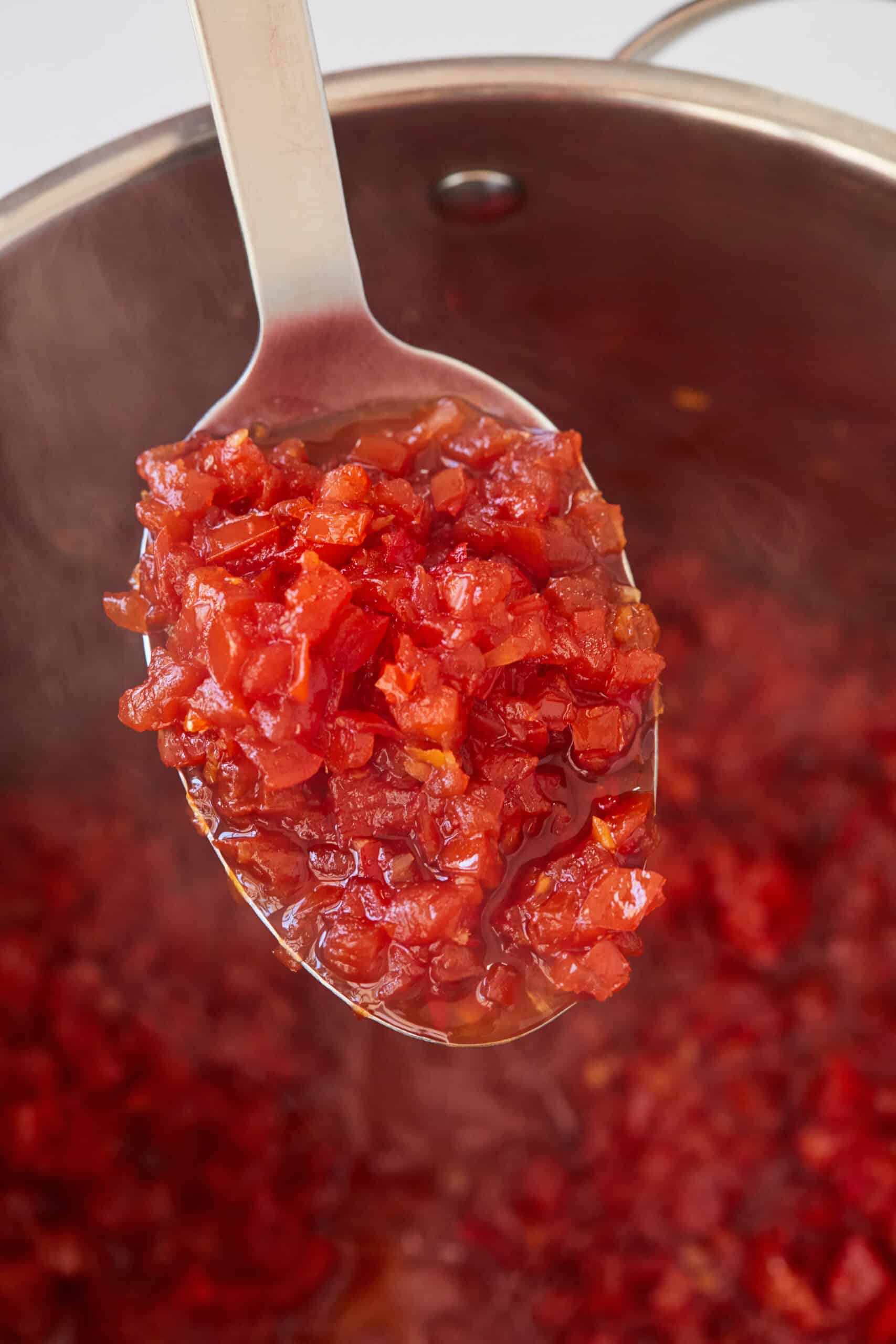 A close-up shot at a spoonful of Tomato Chilli Chutney.