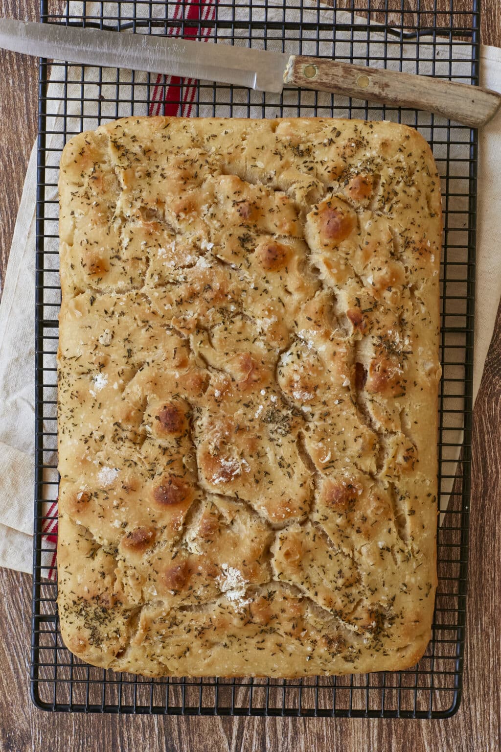 No Knead Focaccia With Roasted Garlic And Rosemary Gemmas Bigger Bolder Baking 